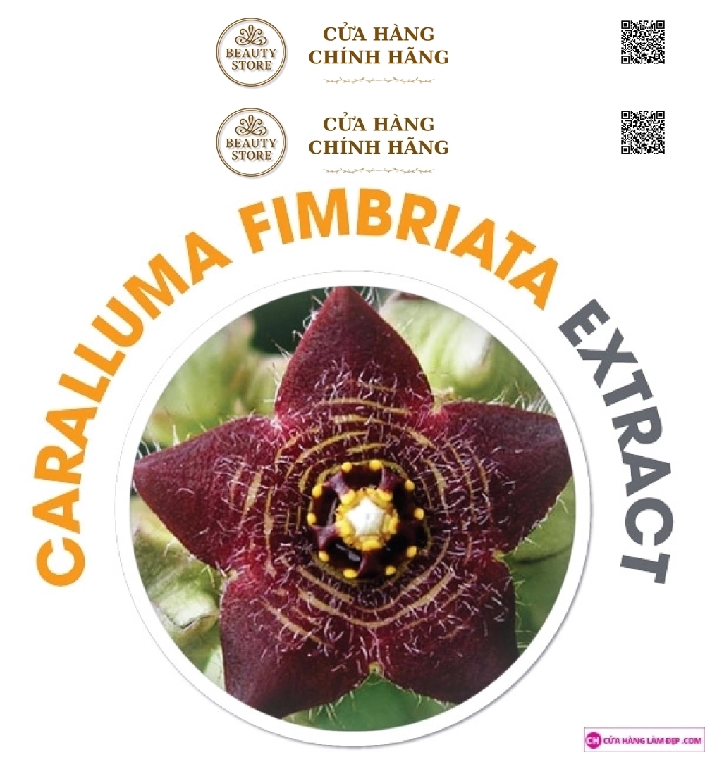 Viên uống giảm cân OZ SLIM (40 Viên)